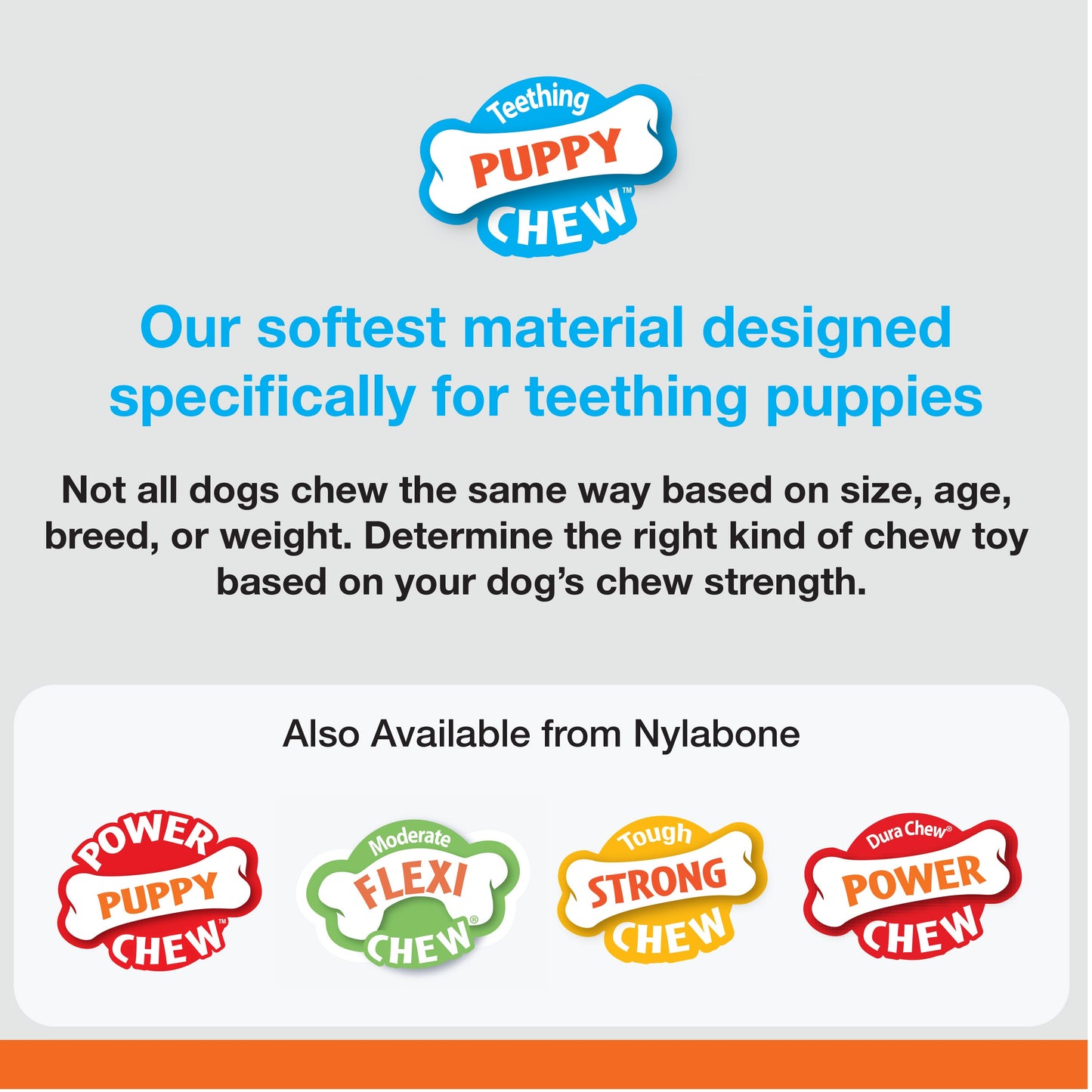 Nylabone Just for Puppies Teething Chew Classic Bone Classic Bone Chicken 1ea/Medium/Wolf - Up To 35 lb