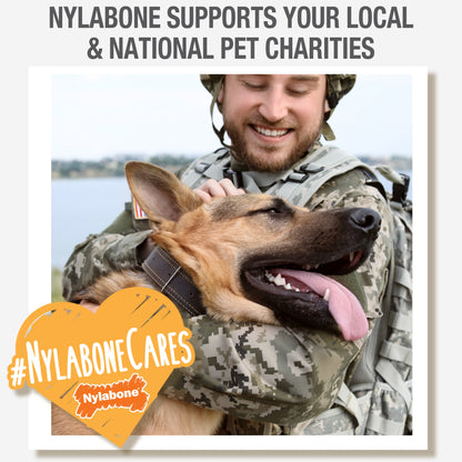 Nylabone Healthy Edibles AllNatural Long Lasting Bacon Chew Treats Bacon, SMall/Regular  Up To 25 Ibs. 1 ct