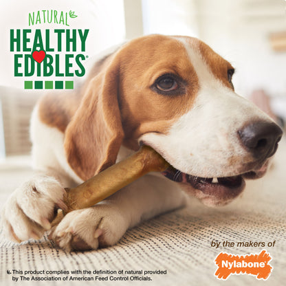 Nylabone Healthy Edibles AllNatural Long Lasting Bacon Chew Treats Bacon, Medium/Wolf  Up To 35 Lbs. 1 ct