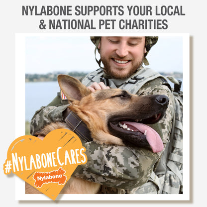 Nylabone Healthy Edibles AllNatural Long Lasting Bacon Chew Treats Bacon, Medium/Wolf  Up To 35 Lbs. 2 ct