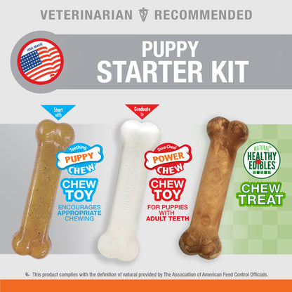 Nylabone Puppy Starter Kit Dog Chew Toys & Treat Chicken & Bacon 1ea/SMall/Regular - Up To 25 Ibs.