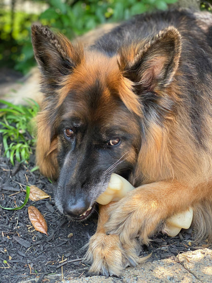 Nylabone Power Chew Knuckle Bone BIG Dog Chew Toy Chicken 1ea/XXL/Monster - 50++ lb