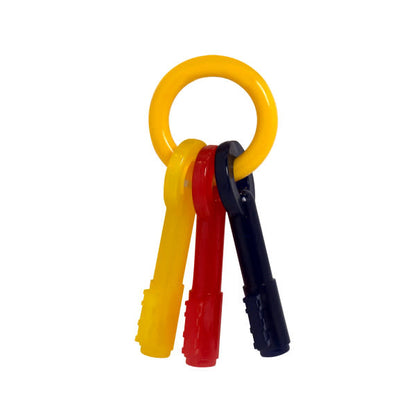 Nylabone Just for Puppies Teething Chew Toy Keys Chew Toy Keys Bacon 1ea/SMall/Regular - Up To 25 Ibs.