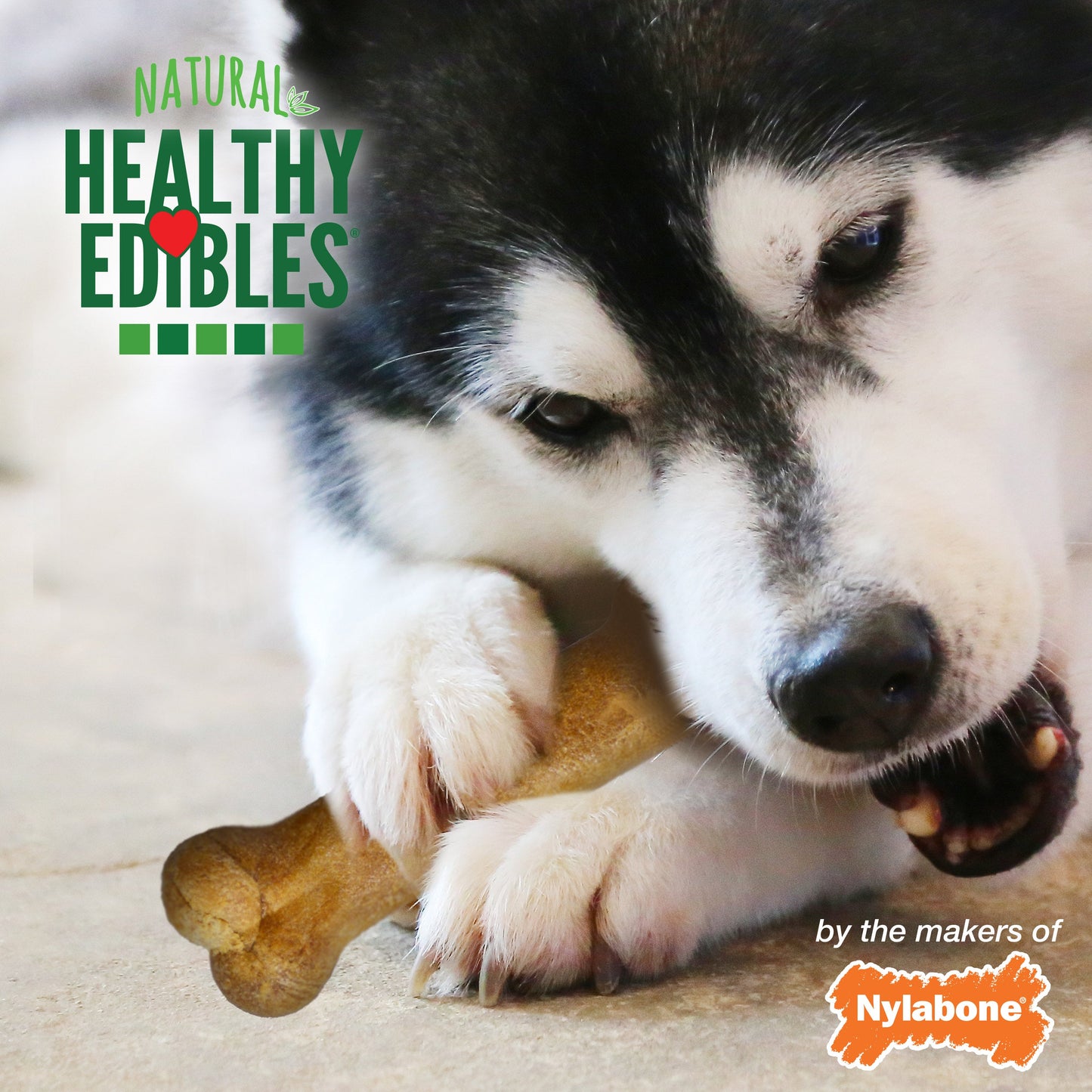 Nylabone Healthy Edibles AllNatural Long Lasting Roast Beef Dog Chew Treats 2 count, Wolf  Up To 35 lb