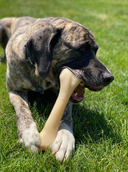 Nylabone Power Chew Monster Bone Big Dog Chew Toy Chicken 1ea/XXL/Monster - 50++ lb