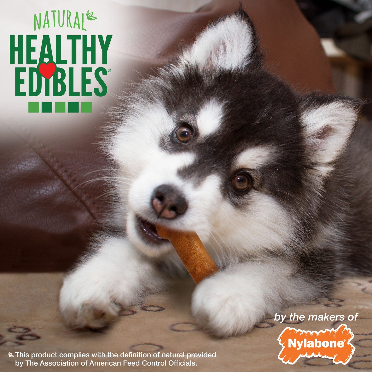 Nylabone Healthy Edibles Puppy Turkey  Sweet Potato Dog Chew Treats Turkey  Sweet Potato, SMall/Regular  Up To 25 Ibs. 3 ct