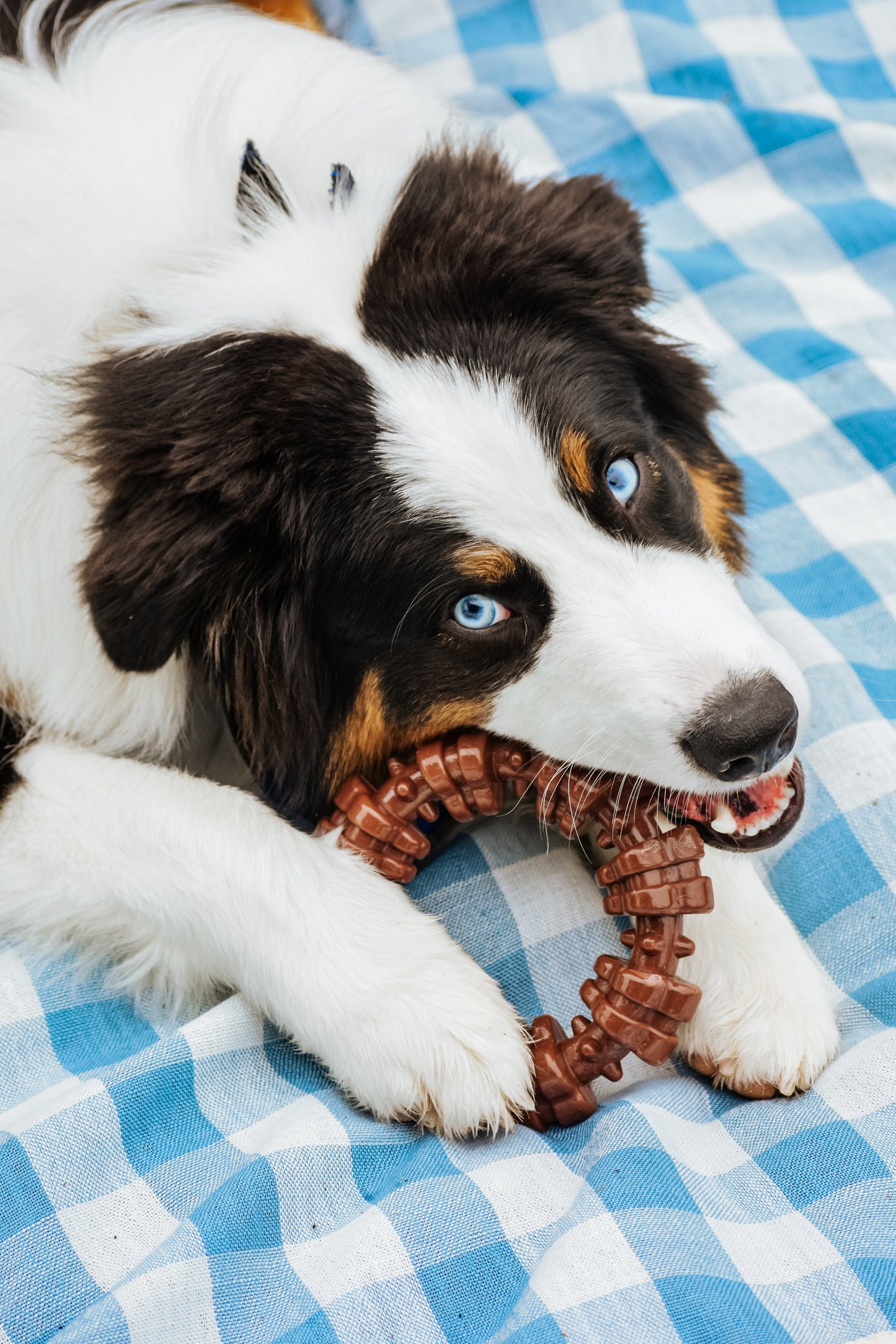 Nylabone Power Chew Textured Dog Ring Toy Flavor Medley 1ea/XL/Souper - 50+ lb