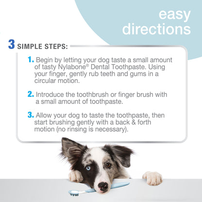 Nylabone Advanced Oral Care Dog Dental Kit Original 1ea