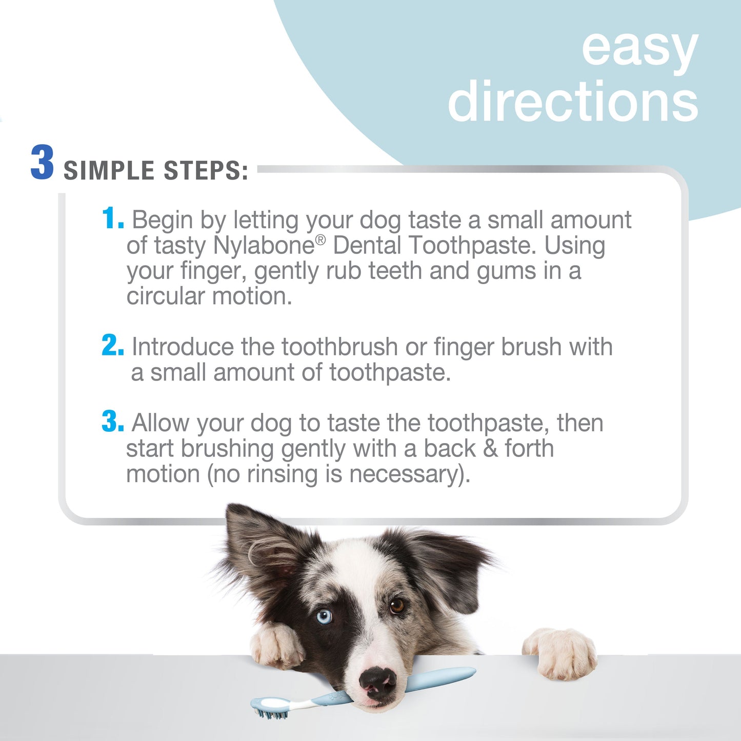 Nylabone Advanced Oral Care Tartar Control Dog Toothpaste Original 1ea/2.5 oz