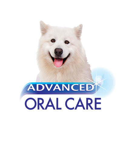 Nylabone Advanced Oral Care Finger Brush 2 Count 1ea/2 ct