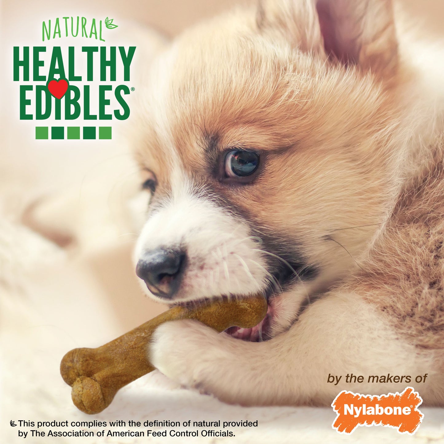 Nylabone Healthy Edibles Puppy AnimalShaped Lamb  Apple Dog Chew Treats Lamb  Apple, XS/Petite  Up To 15 Lbs. 8 ct