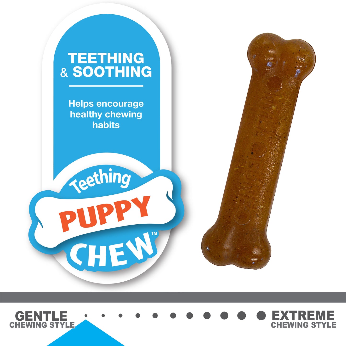 Nylabone Classic Puppy Chew Flavored Durable Dog Chew Toy Classic Bone Twin Pack Chicken & Peanut Butter Brown 1ea/XS/Petite - Up To 15 lb