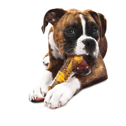 Nylabone Flavor Frenzy Power Chew Durable Dog Chew Toy Philly Cheesesteak 1ea/XL/Souper - 50+ lb