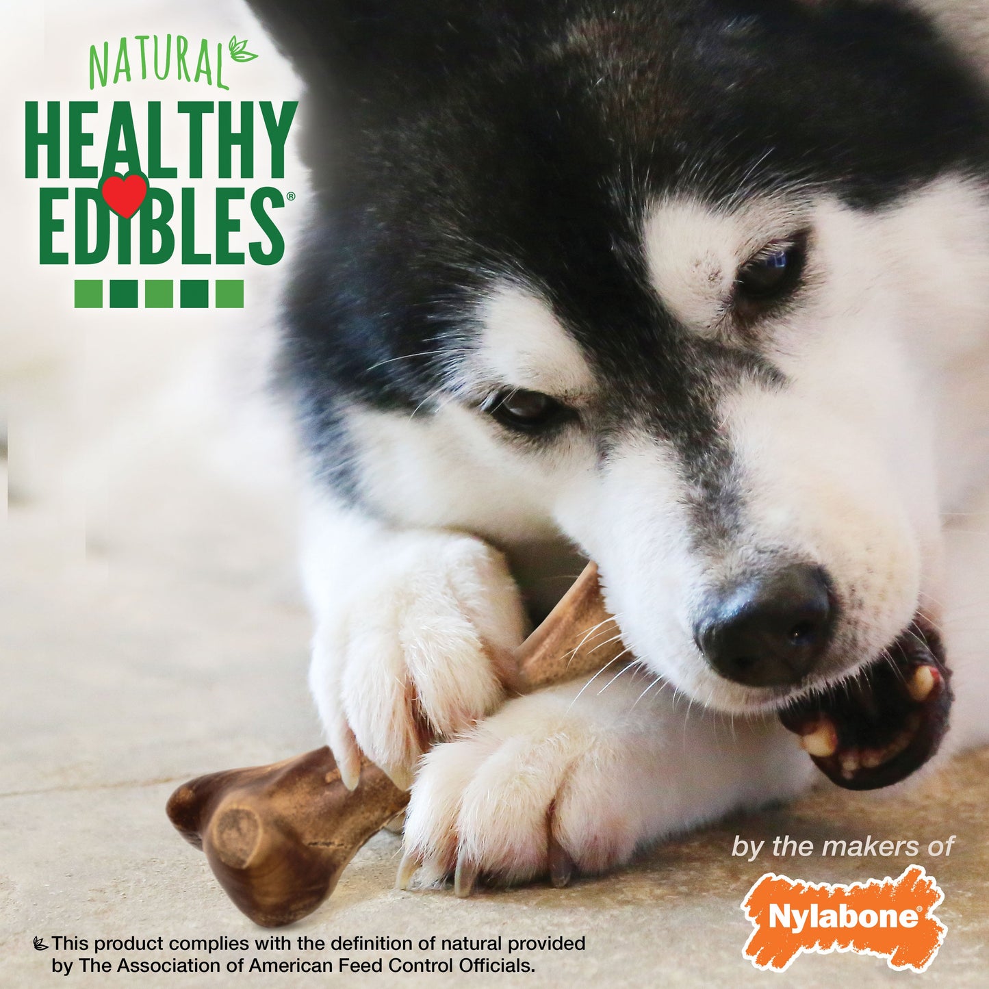 Nylabone Healthy Edibles WILD Natural Long Lasting Bison Dog Chew Treats Bison, Large/Giant  Up To 50 Lbs. 1 ct