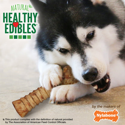 Nylabone Healthy Edibles AllNatural Long Lasting Turkey  Apple Dog Chew Treats Turkey  Apple, XL/Souper  50 Lbs. 1 ct