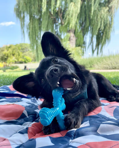 Nylabone Comfort Hold X Bone Power Chew Durable Dog Toy Beef 1ea/SMall/Regular - Up To 25 Ibs.