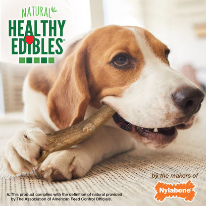 Nylabone Healthy Edibles WILD Antler Natural Long Lasting Dog Chew Treats Venison, Large/Giant  Up To 50 Lbs. 2 ct