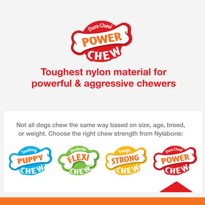 Nylabone Power Chew Cheese Dog Toy Cheese 1ea/XL/Souper - 50+ lb