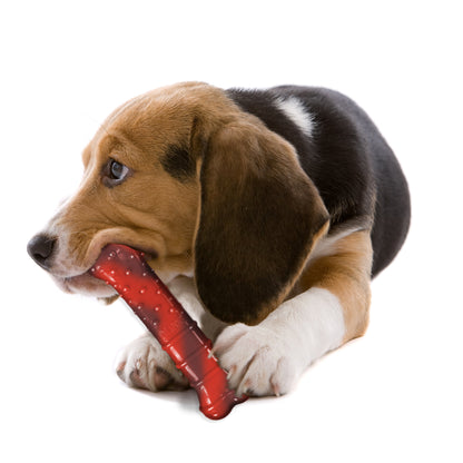 Nylabone Flavor Frenzy Power Chew Durable Dog Chew Toy Beef Jerky 1ea/Medium/Wolf - Up To 35 lb