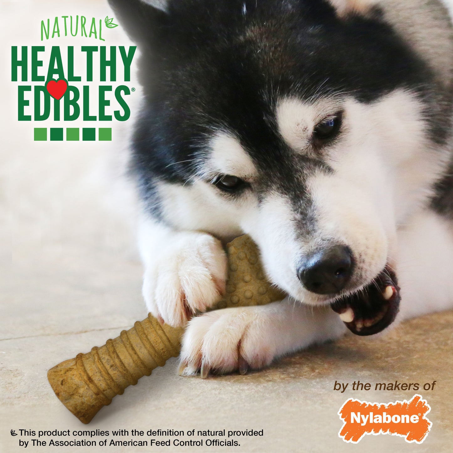 Nylabone Healthy Edibles AllNatural Long Lasting Peanut Butter Dog Chew Treats 1 Count, Peanut Butter, XL/Souper  50 Lbs. 1 ct