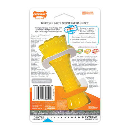 Nylabone Puppy Chew Freezer Dog Bone Chill and Chew Bone Lamb & Apple 1ea/SMall/Regular - Up To 25 Ibs.