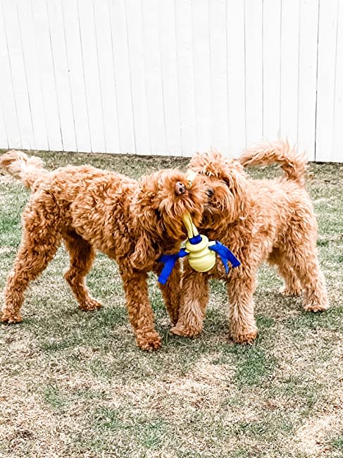 Nylabone Power Play Fling-a-Bounce Interactive Dog Toy 1ea/Medium/Wolf - Up To 35 lb