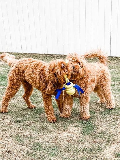 Nylabone Power Play Fling-a-Bounce Interactive Dog Toy 1ea/Medium/Wolf - Up To 35 lb