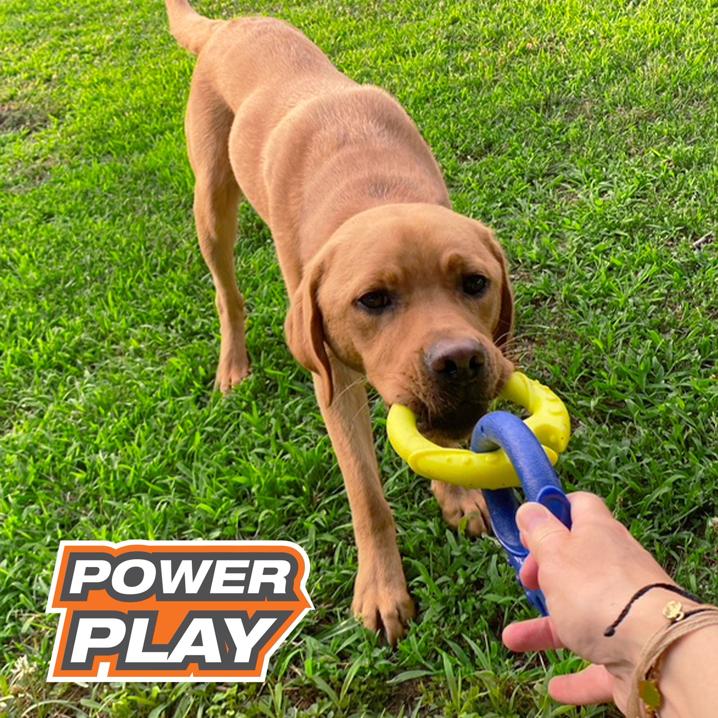 Nylabone Power Play Tug-a-Ball 2-in-1 Ball and Tug Toy for Dogs 1ea/Large/Giant - Up To 50 lb