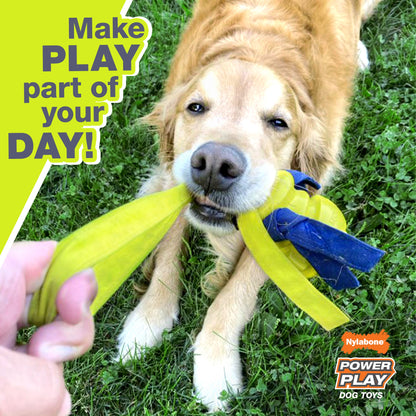 Nylabone Power Play Rubber Dog Toy Fetch-a-Bounce 1ea/SMall/Regular - Up To 25 Ibs.