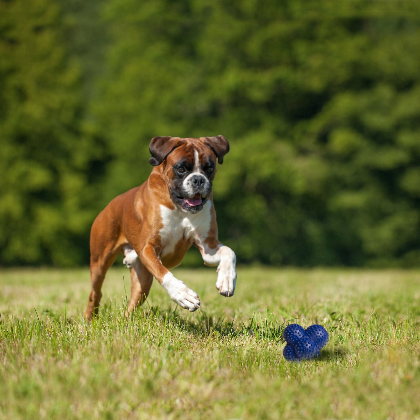 Nylabone Power Play Ball for Dogs Crazy Ball 1ea/Large/Giant - Up To 50 lb