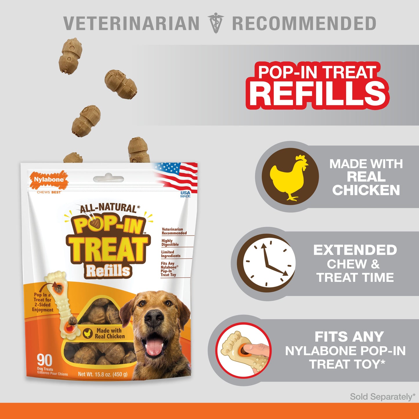 Nylabone All-Natural Pop-In Dog Treat Refills Chicken Pop-In 1ea/All Sizes