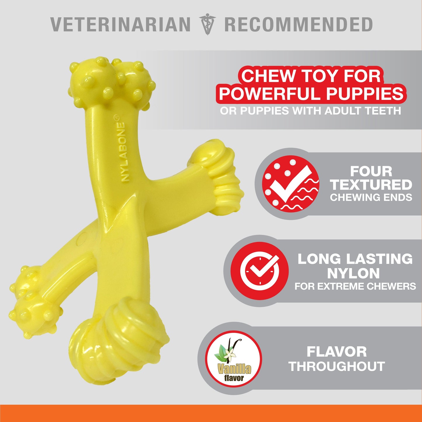 Nylabone Axis Bone Nylon Puppy Chew Toy 1ea/SMall/Regular - Up To 25 Ibs.