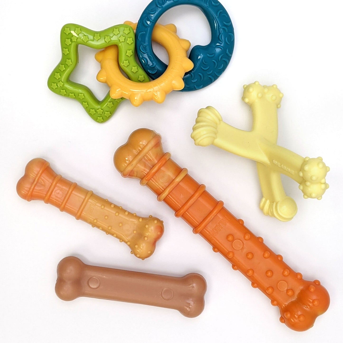 Nylabone Axis Bone Nylon Puppy Chew Toy 1ea/SMall/Regular - Up To 25 Ibs.