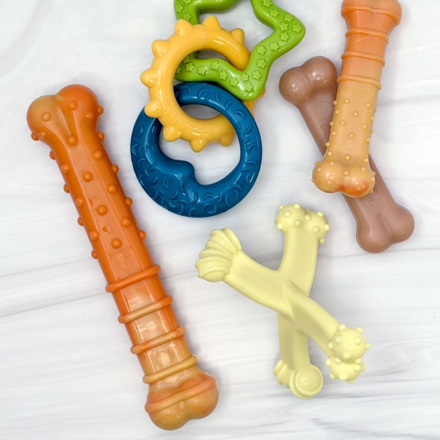 Nylabone Axis Bone Nylon Puppy Chew Toy 1ea/SMall/Regular - Up To 25 Ibs.