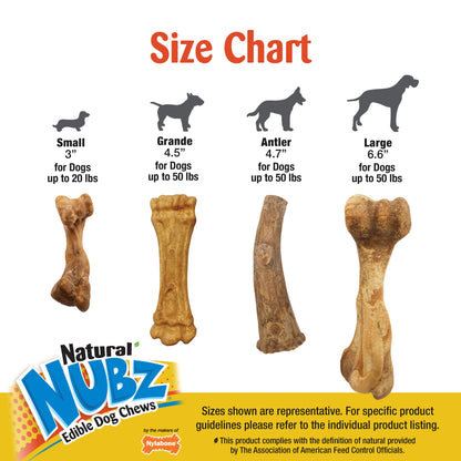 Nylabone Natural Nubz Dog Treats, AllergenFree Peanut Butter Peanut Butter, Jumbo  Up To 50 Lbs. 2 ct