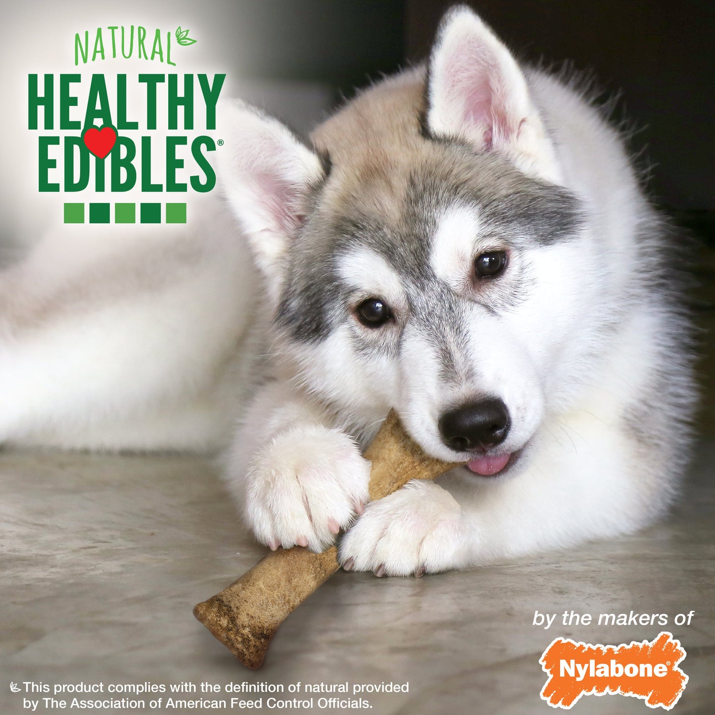 Nylabone Healthy Edibles Puppy AnimalShaped Lamb  Apple Dog Chew Treats Lamb  Apple, XL/Souper  50 Lbs. 1 ct