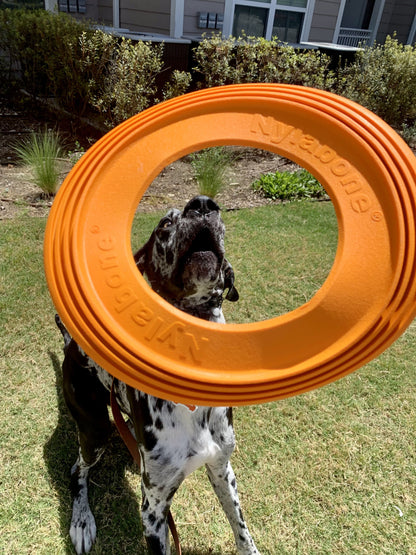 Nylabone Power Play Super Flyer Gripz Disc for Dogs 1ea