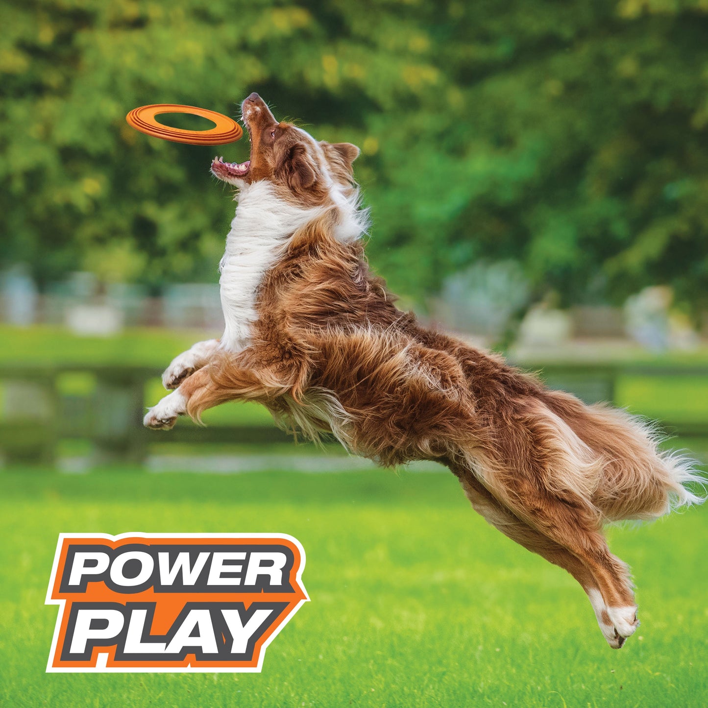 Nylabone Power Play Super Flyer Gripz Disc for Dogs 1ea