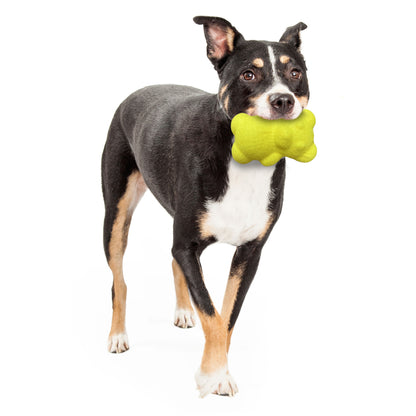 Nylabone Power Play Tennis Teddy Gripz Bear Dog Toy 1ea/Medium/Wolf - Up To 35 lb