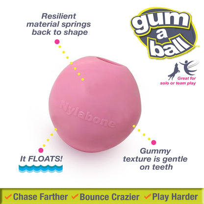 Nylabone Power Play Gum-a-Ball Toy for Dogs 1ea