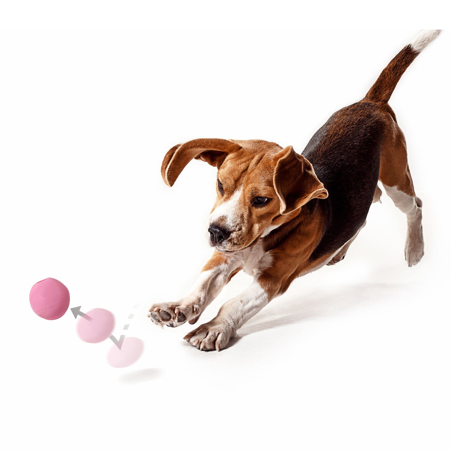 Nylabone Power Play Gum-a-Ball Toy for Dogs 1ea