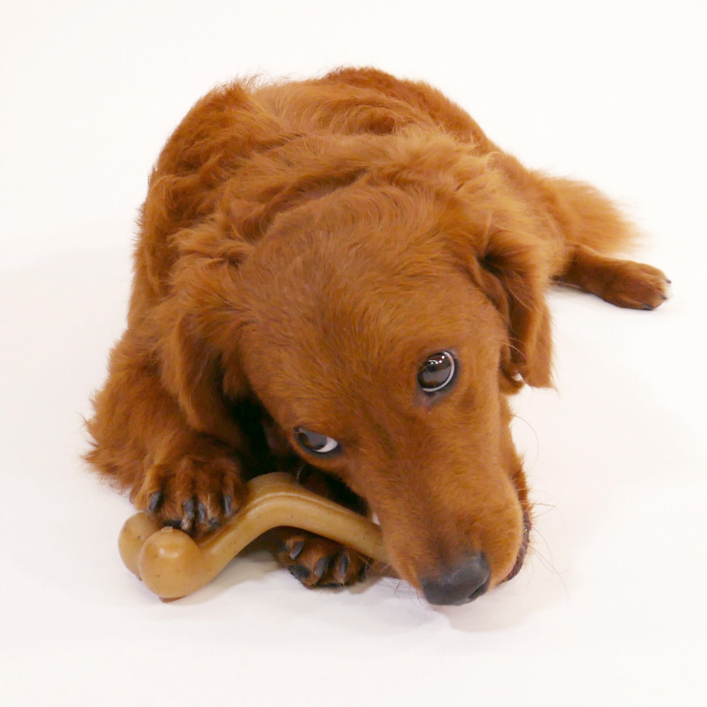 Nylabone Gourmet Style Strong Wishbone Dog Chew Toy Chicken 1ea/SMall/Regular - Up To 25 Ibs.