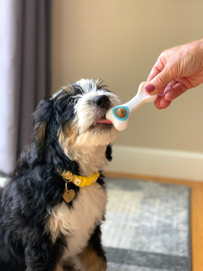 Nylabone Puppy Power Chew Knuckle Bone & Pop-In Puppy Treat Toy Combo Chicken 1ea/XS/Petite - Up To 15 lb