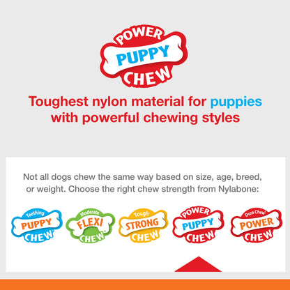 Nylabone Puppy Power Chew Knuckle Bone & Pop-In Puppy Treat Toy Combo Chicken 1ea/Medium/Wolf - Up To 35 lb