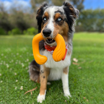 Nylabone Creative Play C-Shuu Dog Chase Toy Orange 1ea/Large/Giant - Up To 50 lb