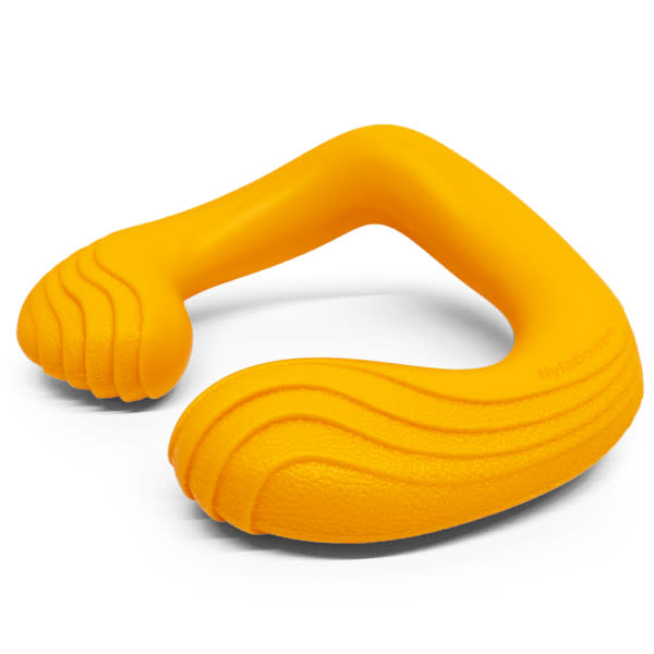 Nylabone Creative Play C-Shuu Dog Chase Toy Orange 1ea/Large/Giant - Up To 50 lb