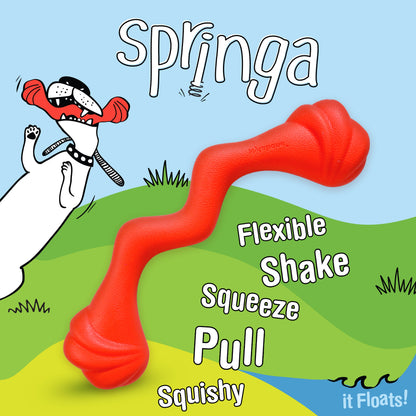 Nylabone Creative Play Springa Dog Pull Toy Red 1ea/Large/Giant - Up To 50 lb