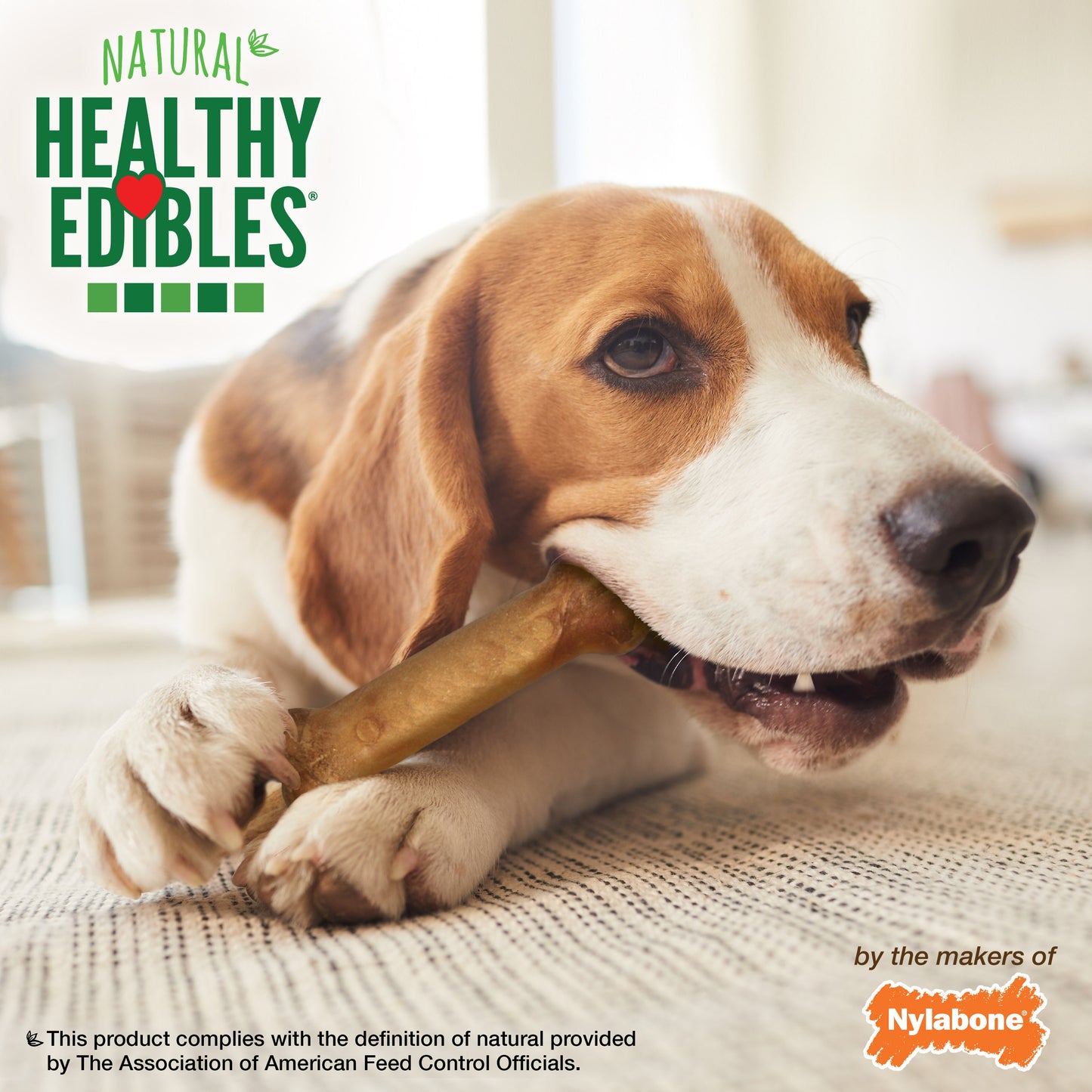 Nylabone Healthy Edibles AllNatural Long Lasting Bacon Chew Treats Bacon, Medium/Wolf  Up To 35 Lbs. 7 ct