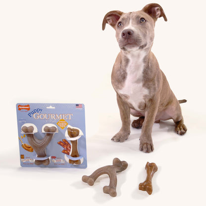 Nylabone Gourmet Style Puppy Chew Toy Twin Pack Bacon, Peanut Butter 1ea/SMall/Regular - Up To 25 Ibs.