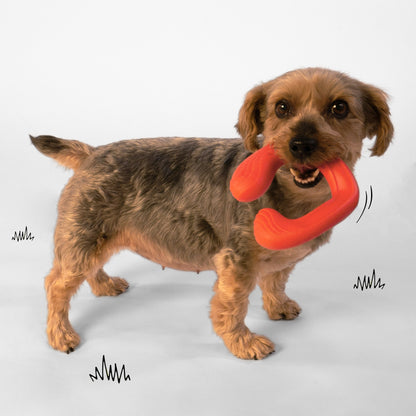 Nylabone Creative Play C-Shuu Dog Chase Toy 1ea/Small